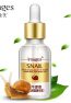 Images_Snail